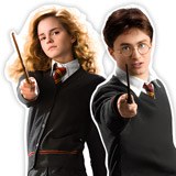 Adesivi Murali: Personaggi di Harry Potter 4