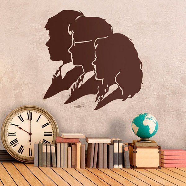 Ron, Hermione e Harry 1/3