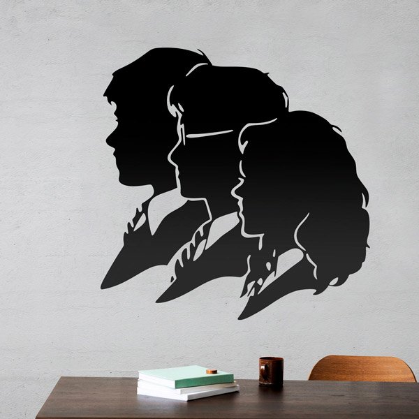 Ron, Hermione e Harry 2/3