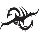 Adesivi per Auto e Moto: Tribal