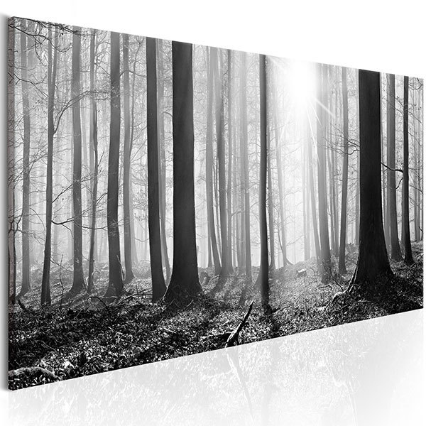 Disegno Su Tela Foresta Bianca E Nera Stickersmurali Com