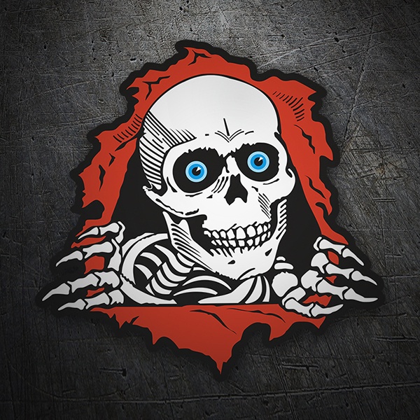 Adesivi per Auto e Moto: Powell Peralta