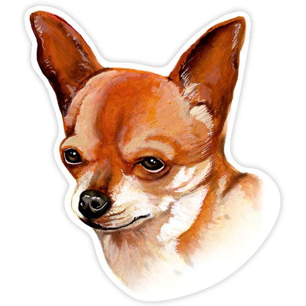 Adesivi per Auto e Moto: Chihuahua