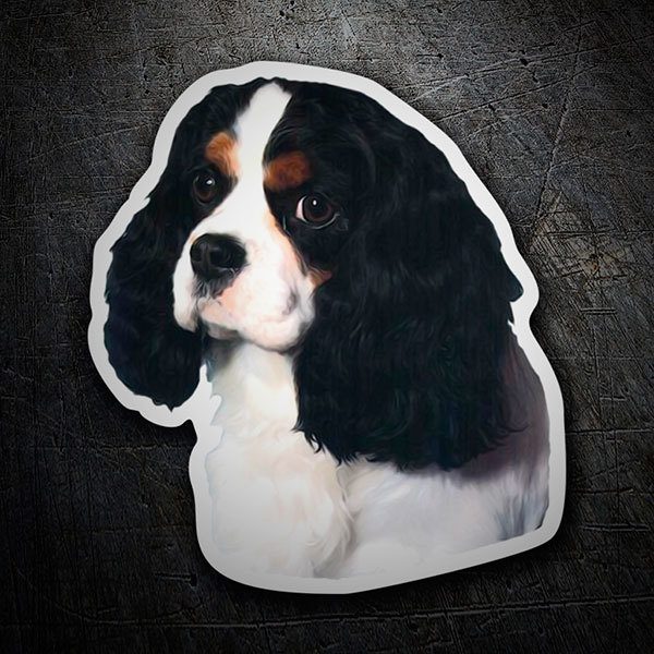 Adesivi per Auto e Moto: Cavalier King Charles Spaniel