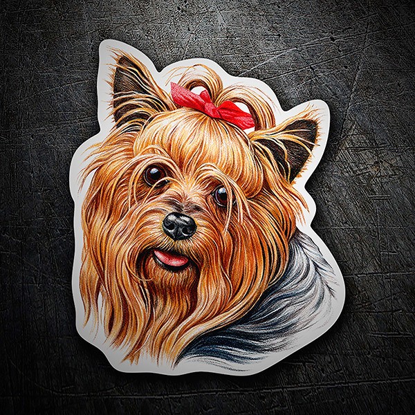 Adesivi per Auto e Moto: Yorkie