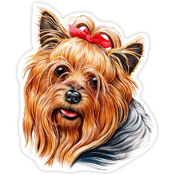 Adesivi per Auto e Moto: Yorkie