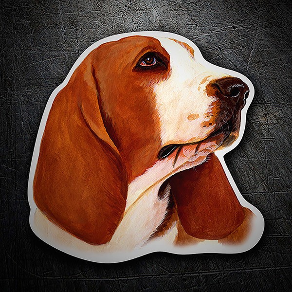 Adesivi per Auto e Moto: Basset Hound