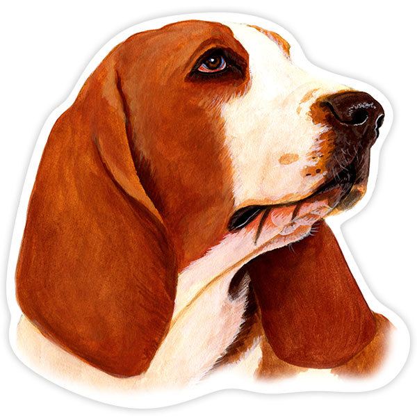 Adesivi per Auto e Moto: Basset Hound
