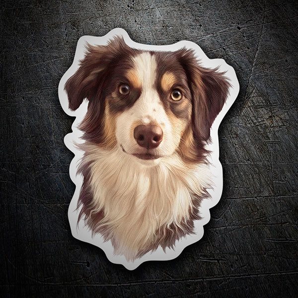 Adesivi per Auto e Moto: Border Collie