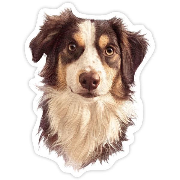 Adesivi per Auto e Moto: Border Collie
