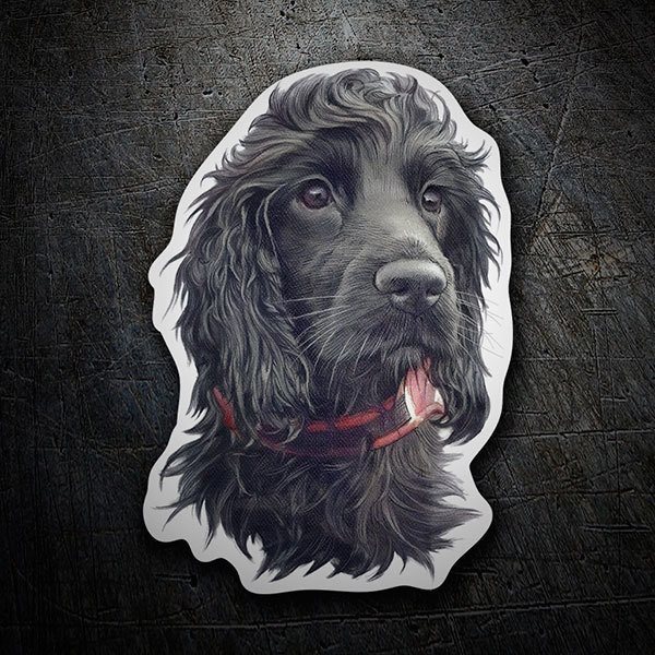 Adesivi per Auto e Moto: Cocker Spaniel nero