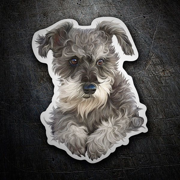 Adesivi per Auto e Moto: Cucciolo di Schnauzer