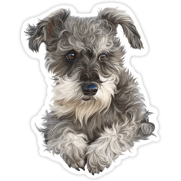Adesivi per Auto e Moto: Cucciolo di Schnauzer