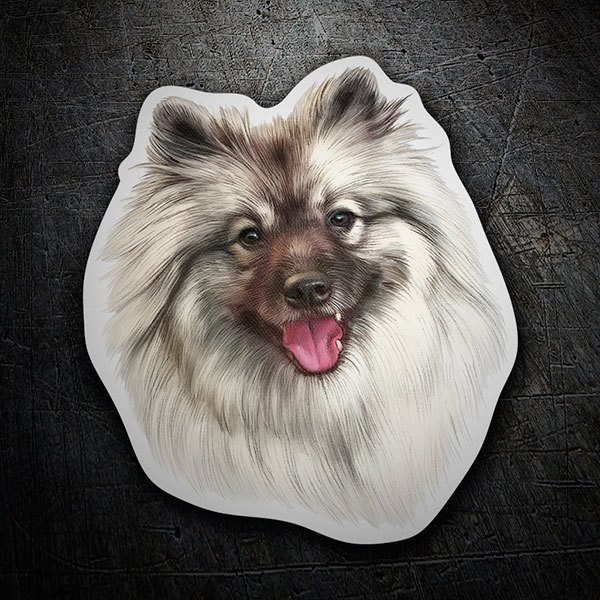 Adesivi per Auto e Moto: Spitz di Pomerania