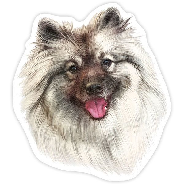 Adesivi per Auto e Moto: Spitz di Pomerania