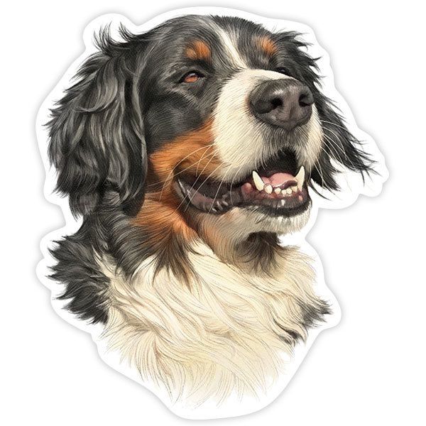 Adesivi per Auto e Moto: Bovaro del Bernese