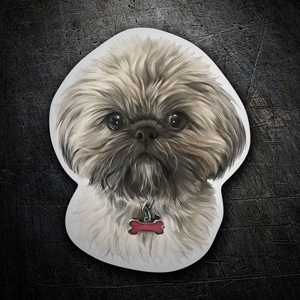 Adesivi per Auto e Moto: Shih Tzu