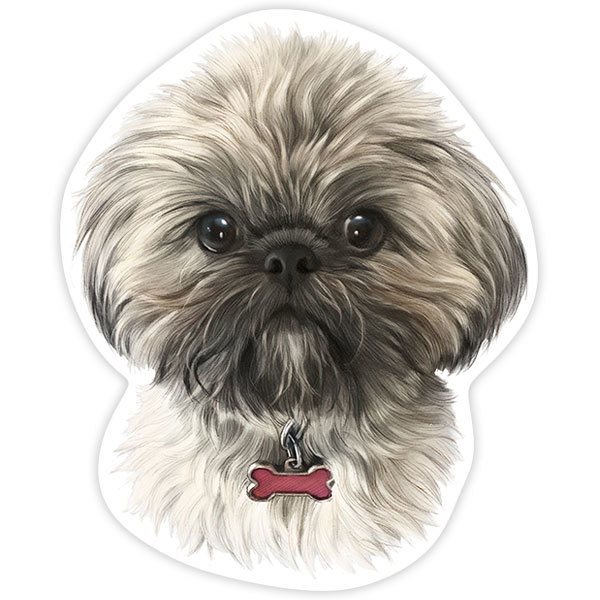 Adesivi per Auto e Moto: Shih Tzu