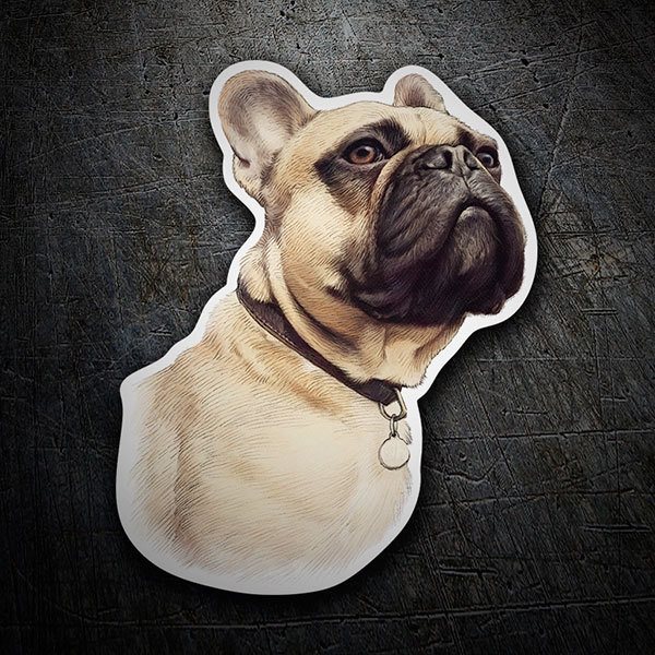 Adesivi per Auto e Moto: Bulldog Francese Ocre