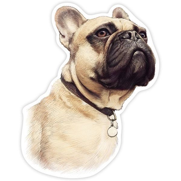 Adesivi per Auto e Moto: Bulldog Francese