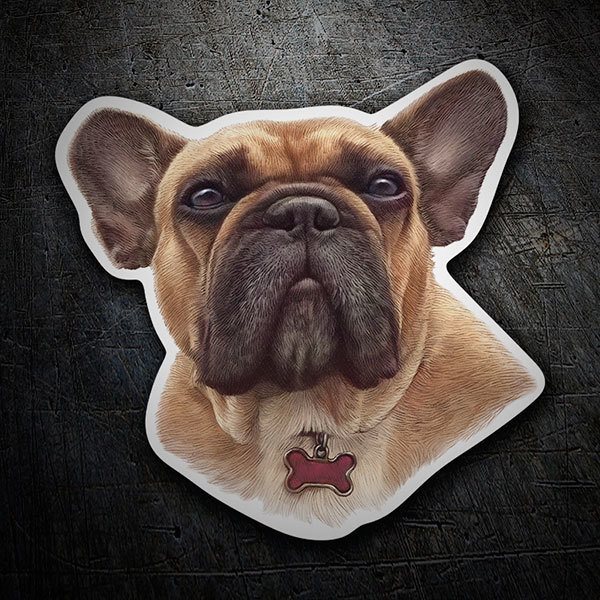 Adesivi per Auto e Moto: Bulldog Francese Marrone