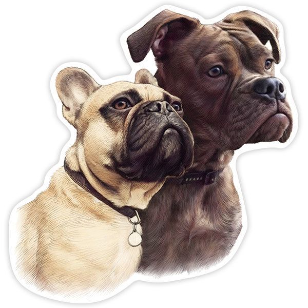 Adesivi per Auto e Moto: Coppia di Bulldog Francesi