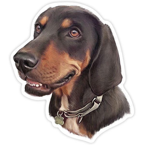 Adesivi per Auto e Moto: Bassotto (Cane Salsiccia)