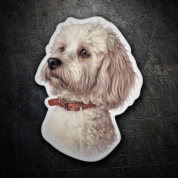 Adesivi per Auto e Moto: Bichon Maltese