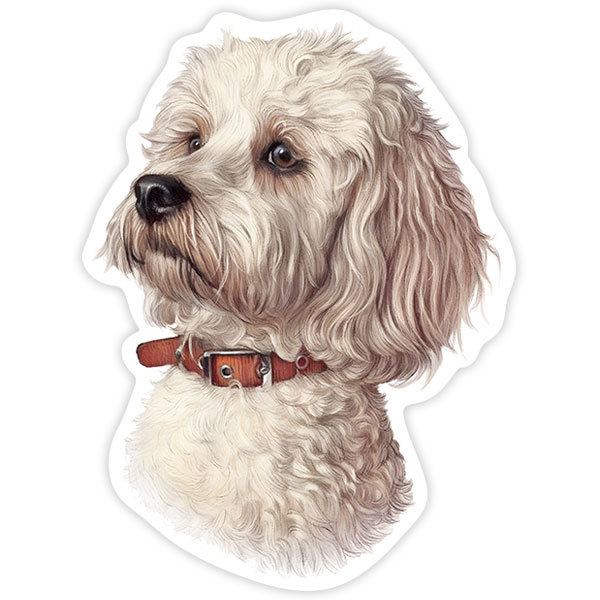 Adesivi per Auto e Moto: Bichon Maltese