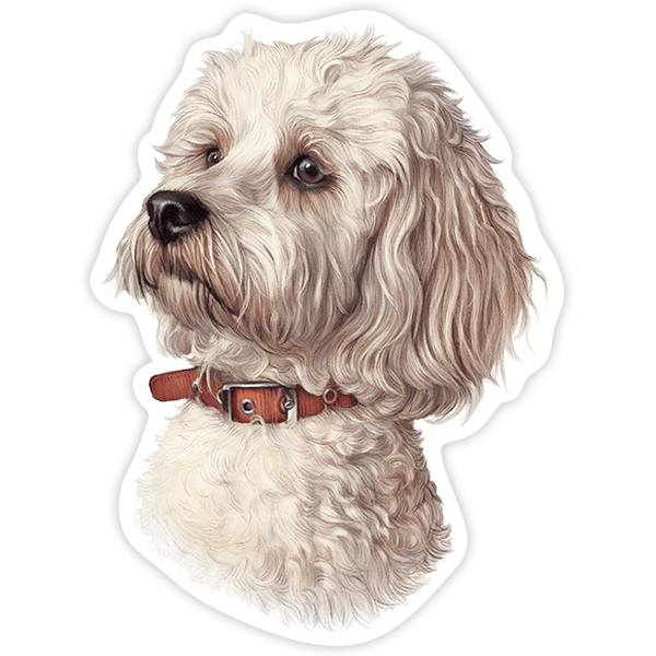 Adesivi per Auto e Moto: Bichon Maltese