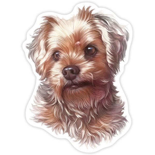 Adesivi per Auto e Moto: Yorkshire Terrier