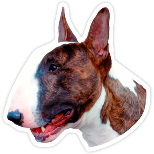 Adesivi per Auto e Moto: Bull Terrier inglese