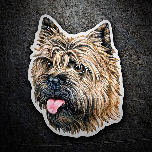 Adesivi per Auto e Moto: Cairn Terrier