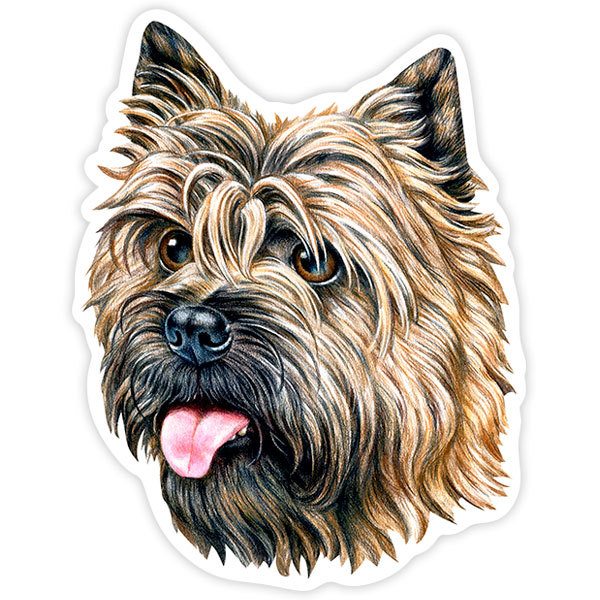 Adesivi per Auto e Moto: Cairn Terrier