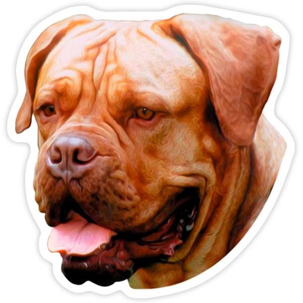 Adesivi per Auto e Moto: Dogue De Bordeaux