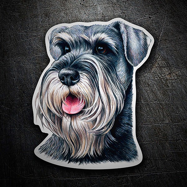 Adesivi per Auto e Moto: Schnauzer