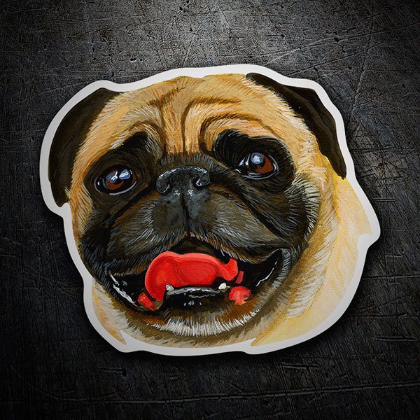 Adesivi per Auto e Moto: Carlino (Pug)