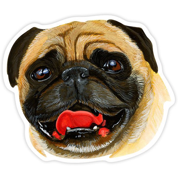 Adesivi per Auto e Moto: Carlino (Pug)