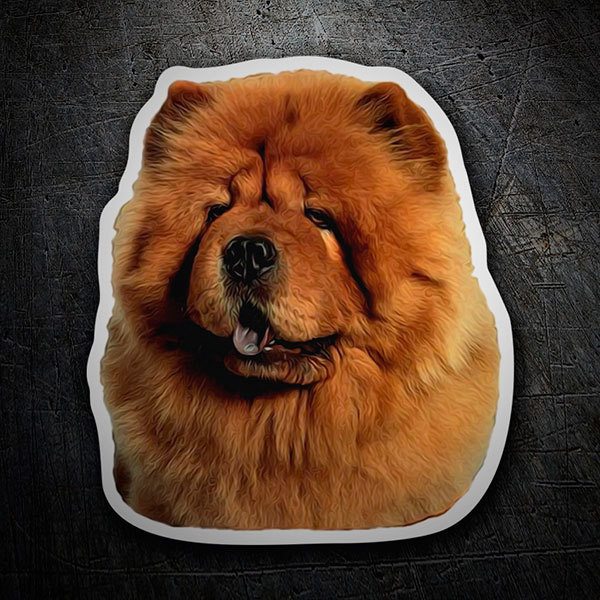 Adesivi per Auto e Moto: Chow Chow