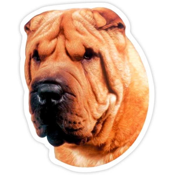 Adesivi per Auto e Moto: Shar Pei