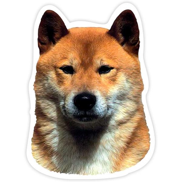 Adesivi per Auto e Moto: Shiba Inu