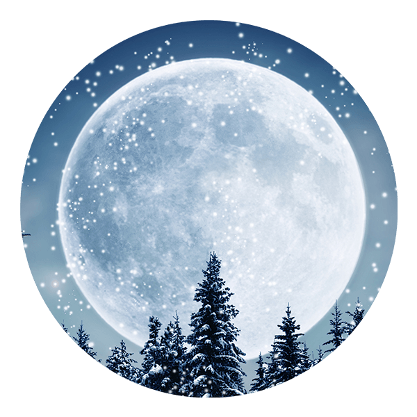 Adesivi Murali: Luna Piena nella Foresta