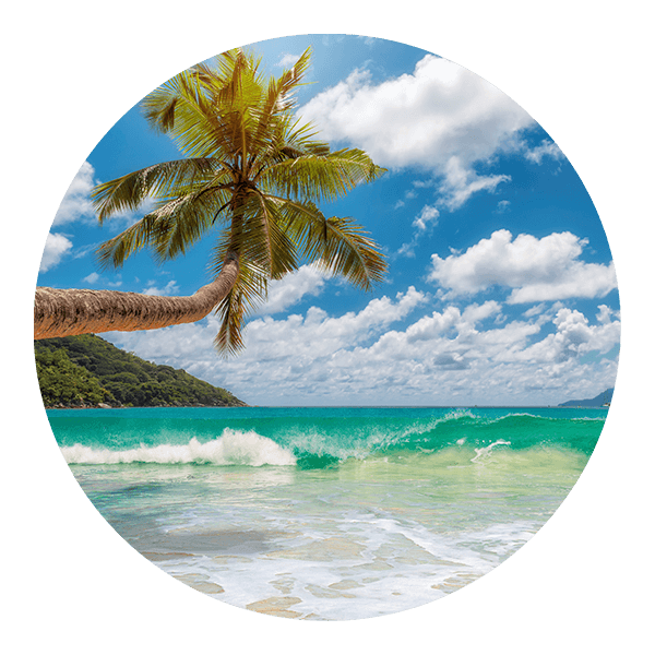 Adesivi Murali: Spiaggia dei Caraibi