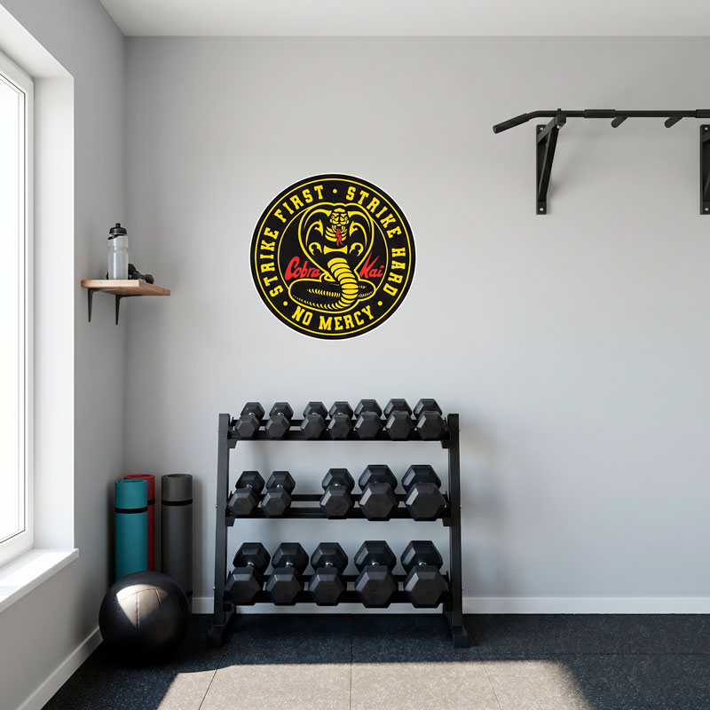 Stemma Cobra Kai 6