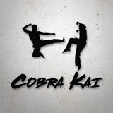 Adesivi per Auto e Moto: Il dolore non esiste in questo Dojo Cobra Kai 2