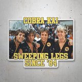 Adesivi per Auto e Moto: Cobra Kai Since 84 3