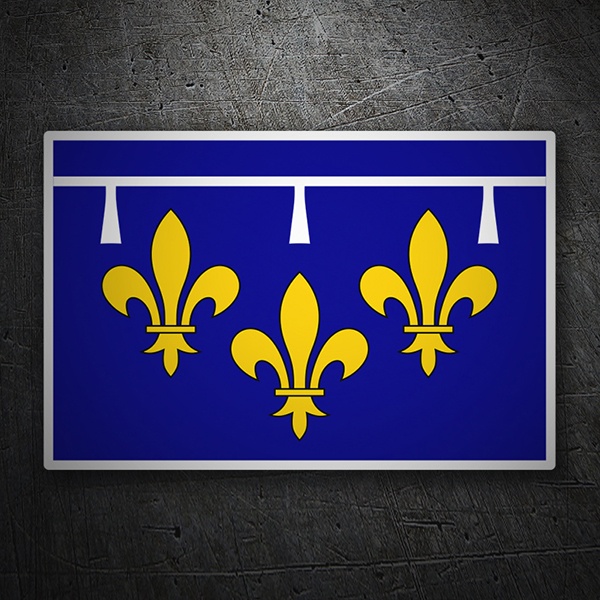 Adesivi per Auto e Moto: Bandiera Orléanais 1