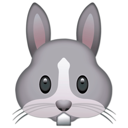 Adesivi Murali: Faccia Coniglio