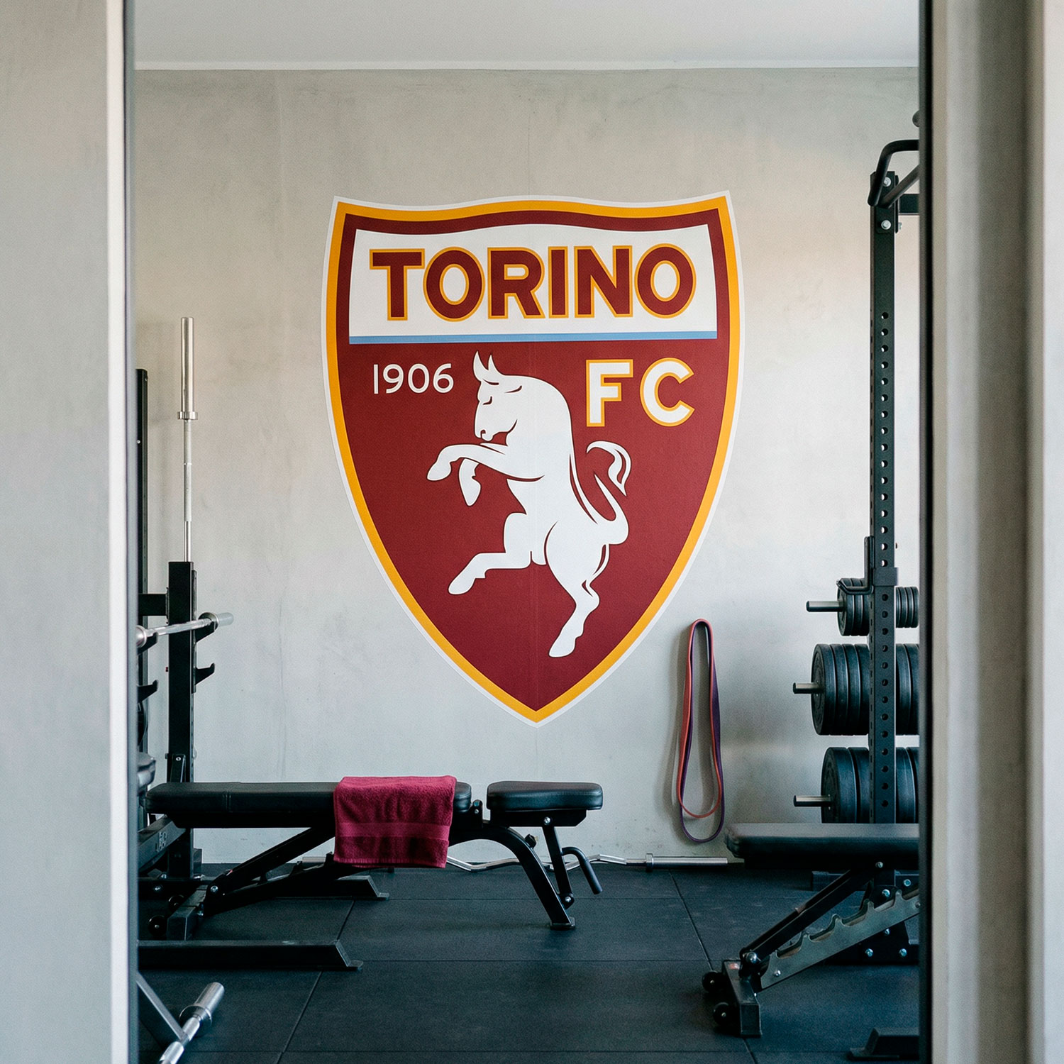 Adesivi Murali: Torino FC Stemma