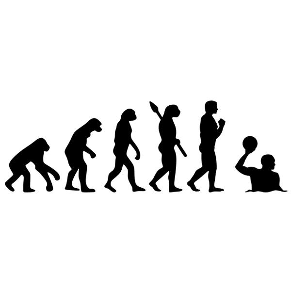Adesivi Murali: Evoluzione della pallanuoto